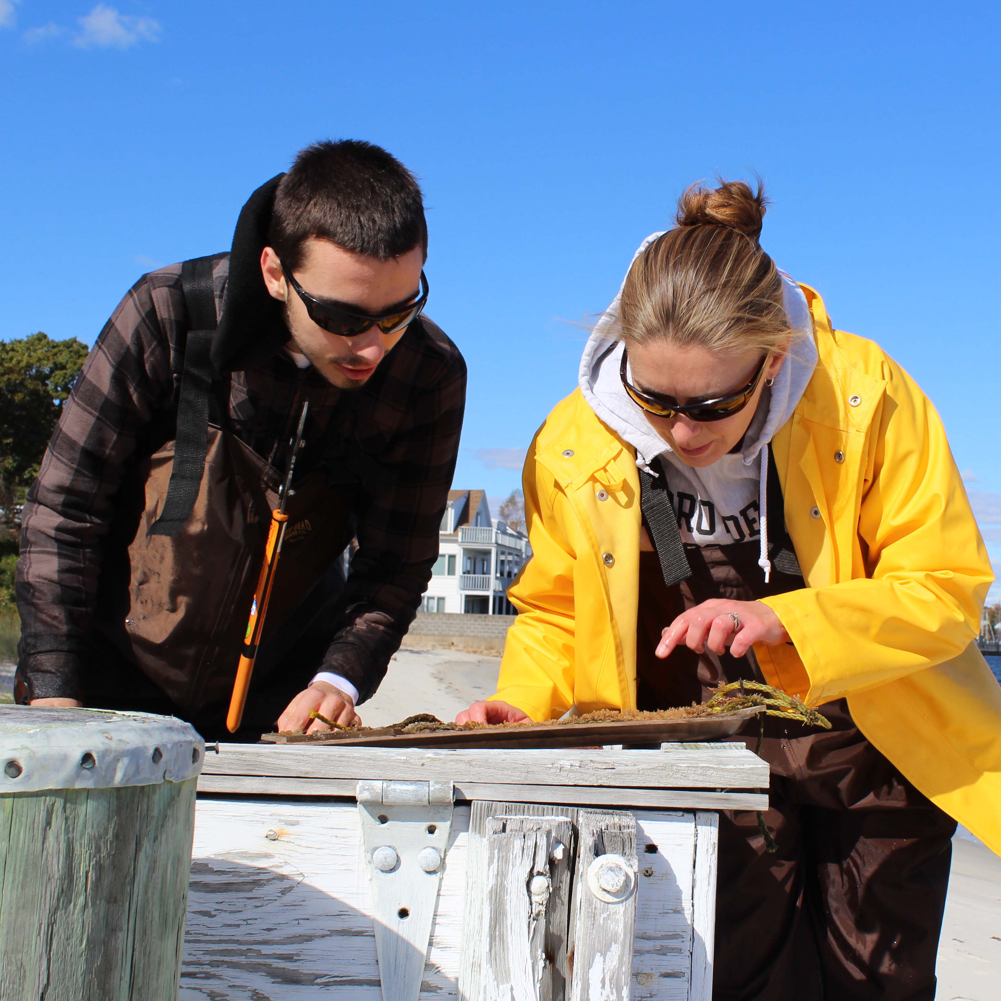 马克斯·佩夫纳，yy易游首存红利学院
