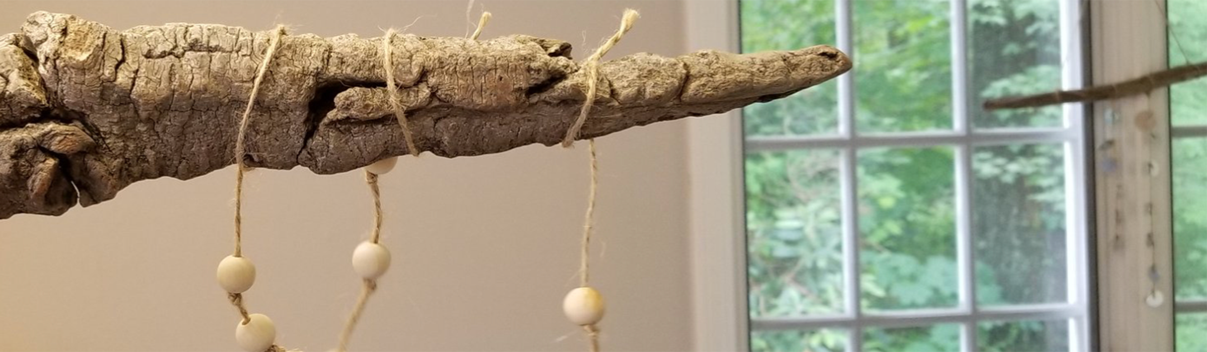 YY易游体育学院夏令营