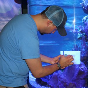 舞蹈/欢呼发挥每个人的优势,YY易游体育学院