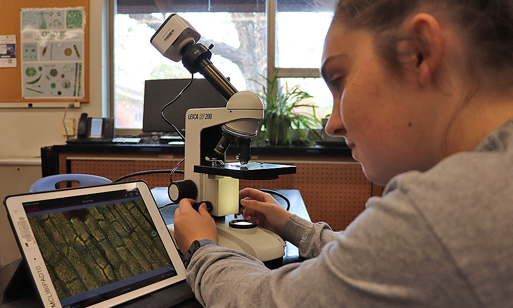 YY易游体育学院yy易游m6官方入口科学学士