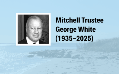 故事，yy易游m6学院